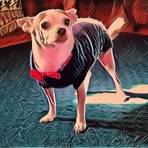 Meet your Posher, Rachel